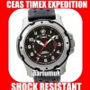 Timex Expedition Shock Resistant