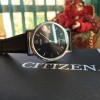 Citizen 260166